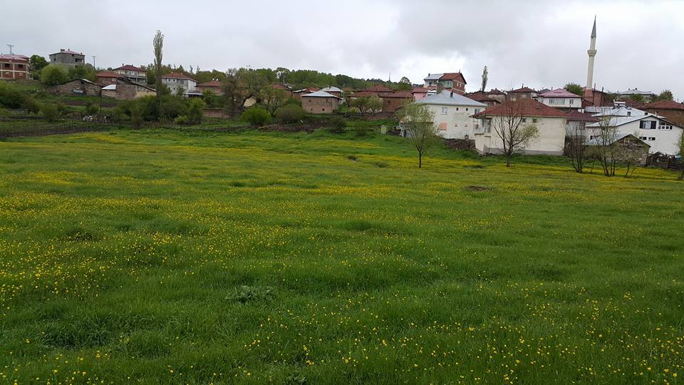 Reşadiye Çakırlı Köyü Resimleri 8