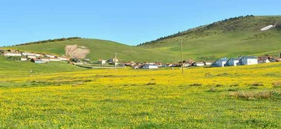 Reşadiye Çakırlı Köyü Resimleri 9