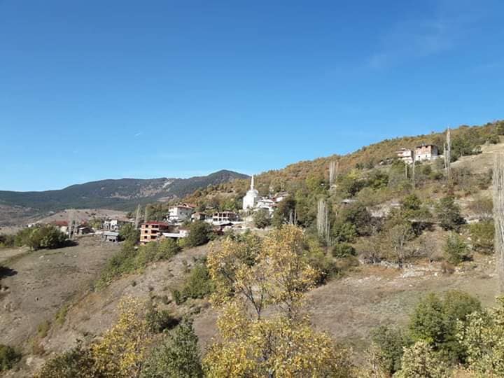 Reşadiye Çamlıkaya Köyü Resimleri 1