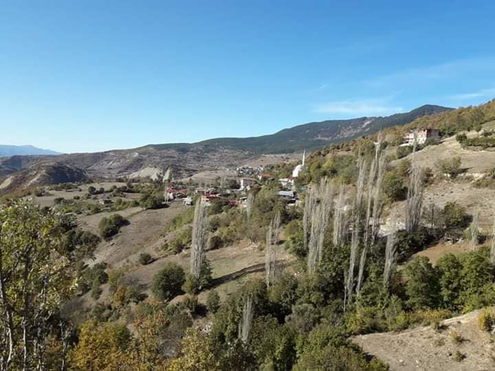 Reşadiye Çamlıkaya Köyü Resimleri 2