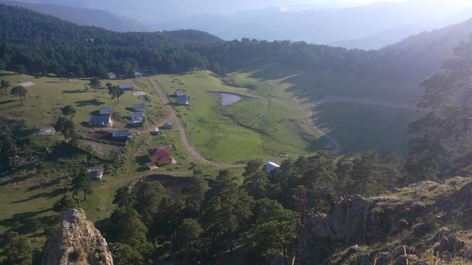 Reşadiye Çamlıkaya Köyü Resimleri 6