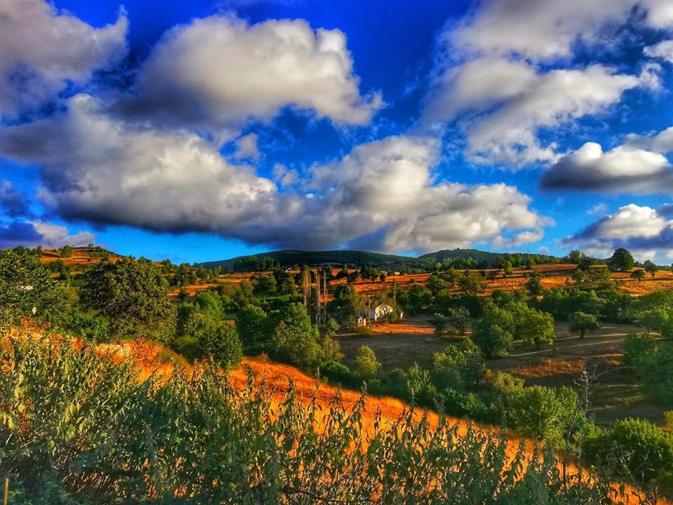 Reşadiye Çınarcık Köyü Resimleri 10