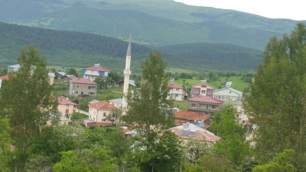 Reşadiye Çınarcık Köyü Resimleri 13