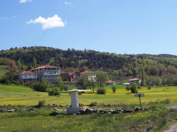 Reşadiye Çınarcık Köyü Resimleri 14