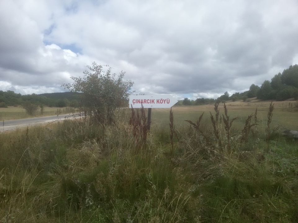 Reşadiye Çınarcık Köyü Resimleri 2