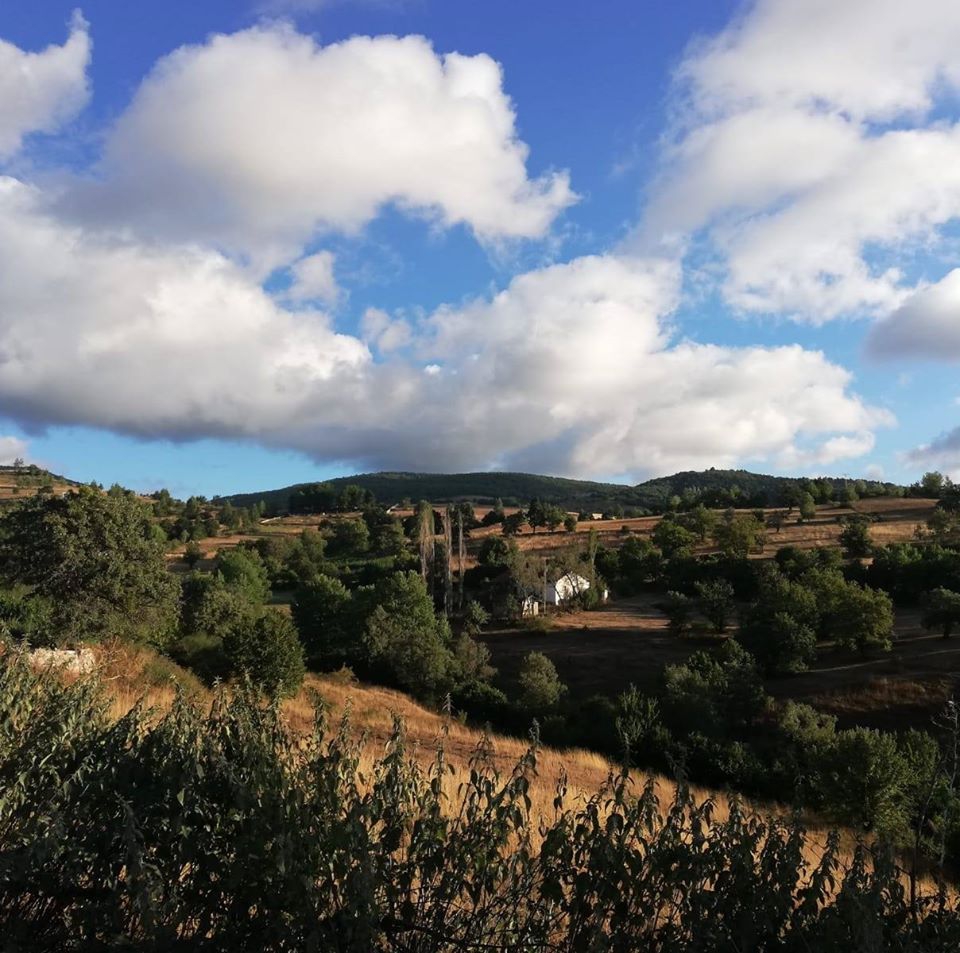 Reşadiye Çınarcık Köyü Resimleri 6