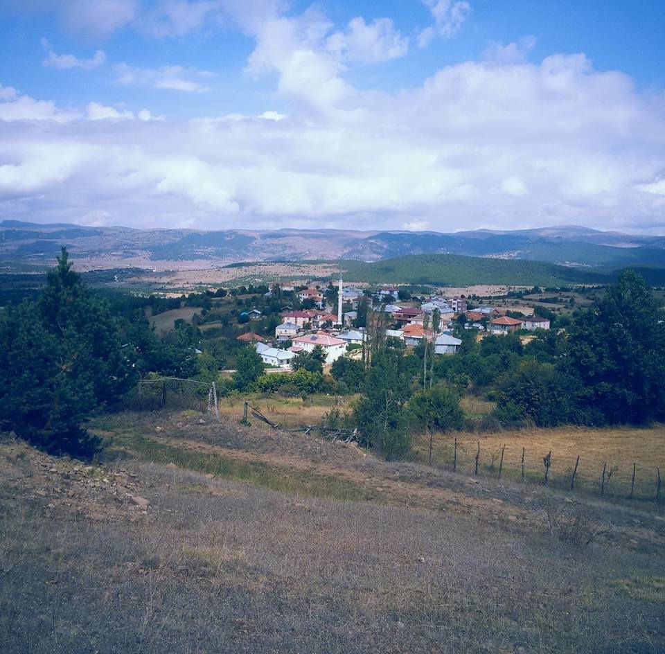 Reşadiye Çınarcık Köyü Resimleri 7