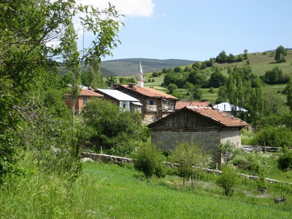 Reşadiye Çınarcık Köyü Resimleri 9