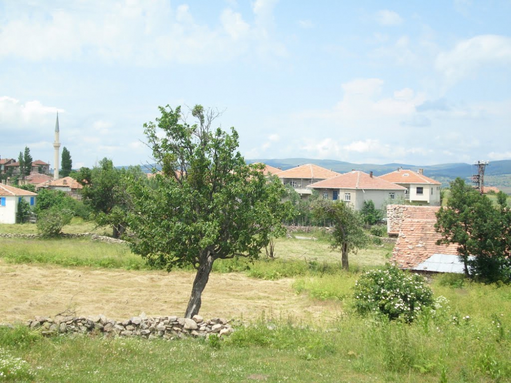 Reşadiye Danişment Köyü Resimleri 10