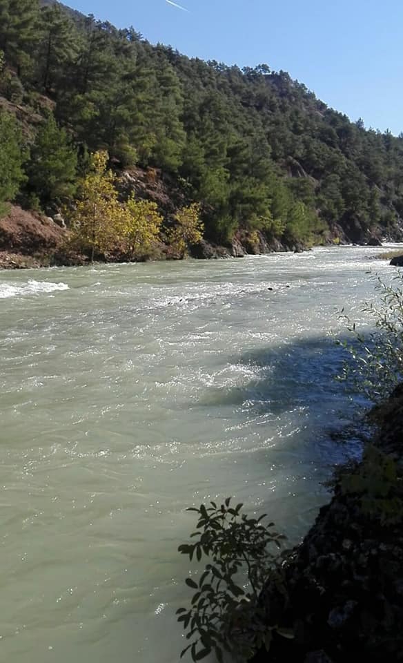 Reşadiye Darıdere Köyü Resimleri 2
