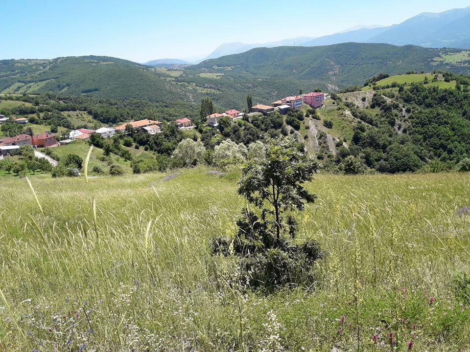 Reşadiye Dolay Köyü Resimleri 2