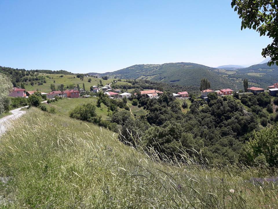 Reşadiye Dolay Köyü Resimleri 5