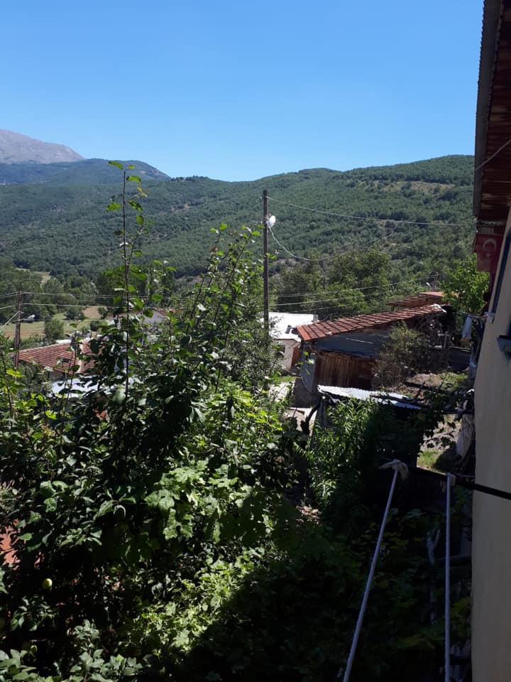 Reşadiye Dutdibi Köyü Resimleri 10