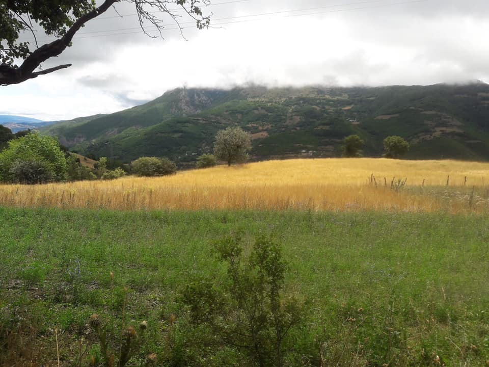 Reşadiye Dutdibi Köyü Resimleri 12