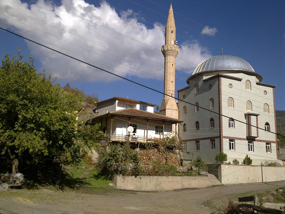 Reşadiye Dutdibi Köyü Resimleri 2