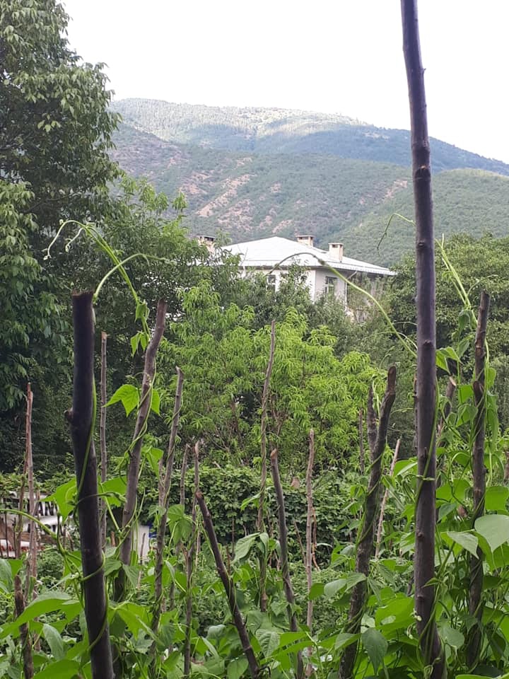 Reşadiye Dutdibi Köyü Resimleri 5