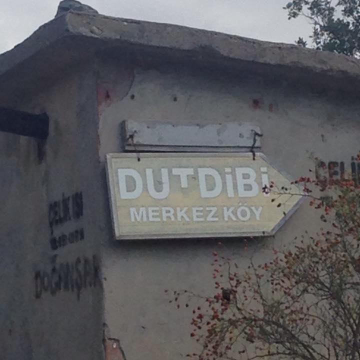 Reşadiye Dutdibi Köyü Resimleri 9