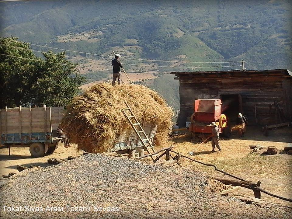 Reşadiye Esenköy Köyü Resimleri 1