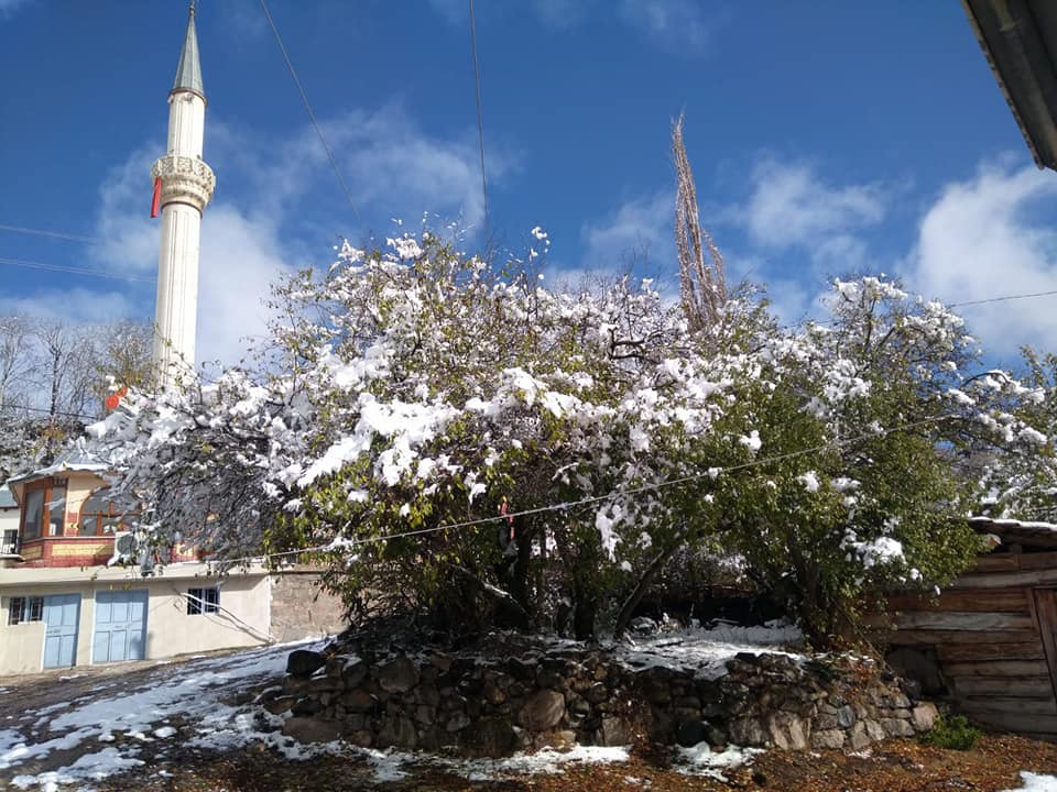 Reşadiye Eymir Köyü Resimleri 1