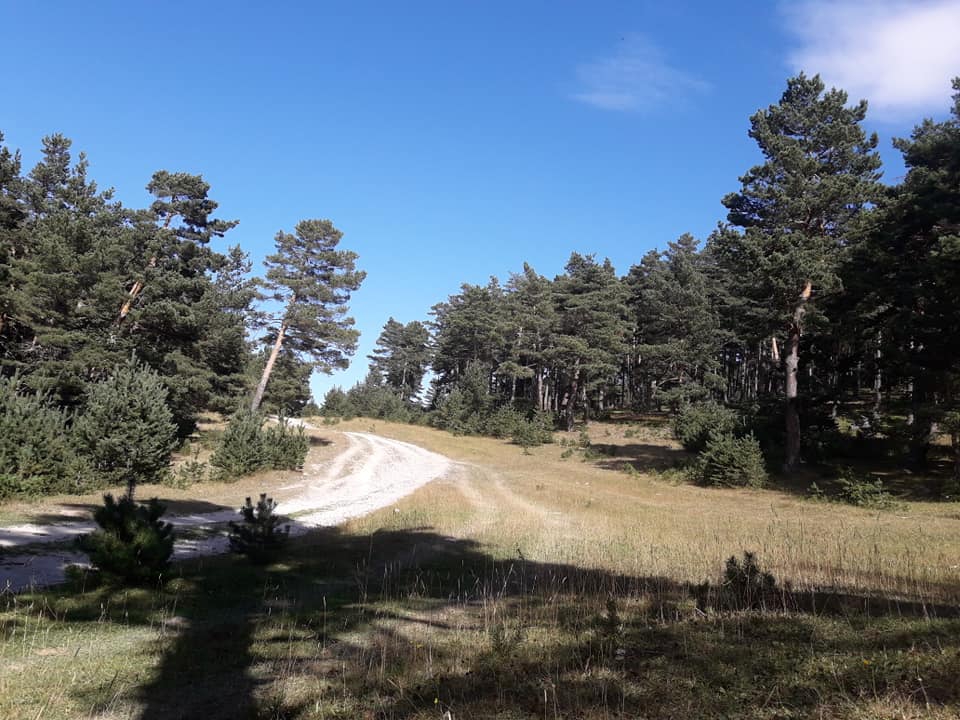 Reşadiye Eymir Köyü Resimleri 6