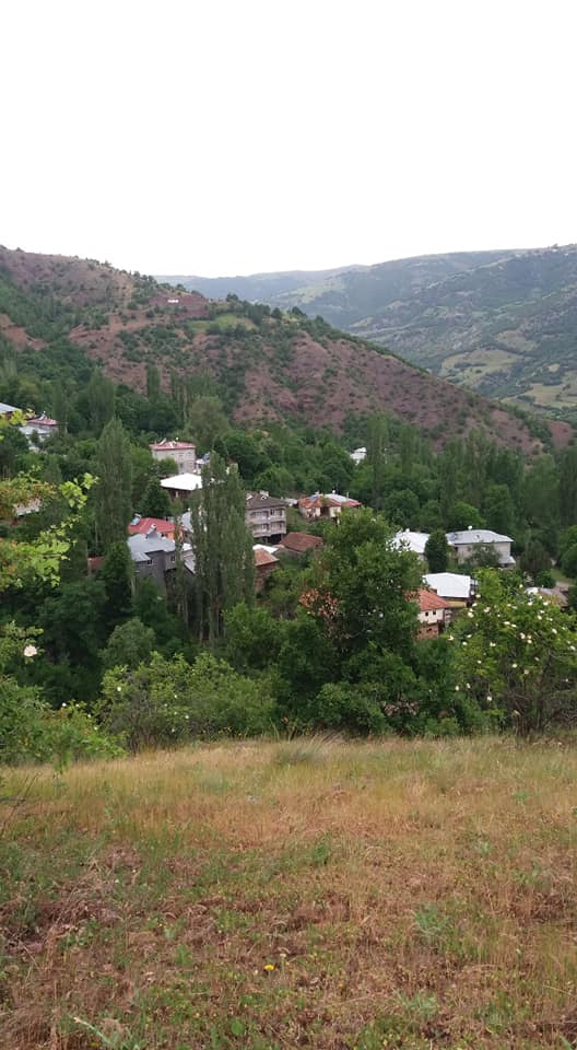 Reşadiye Eyüp Köyü Resimleri 1