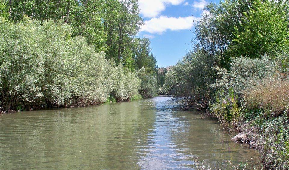 Reşadiye Eyüp Köyü Resimleri 8