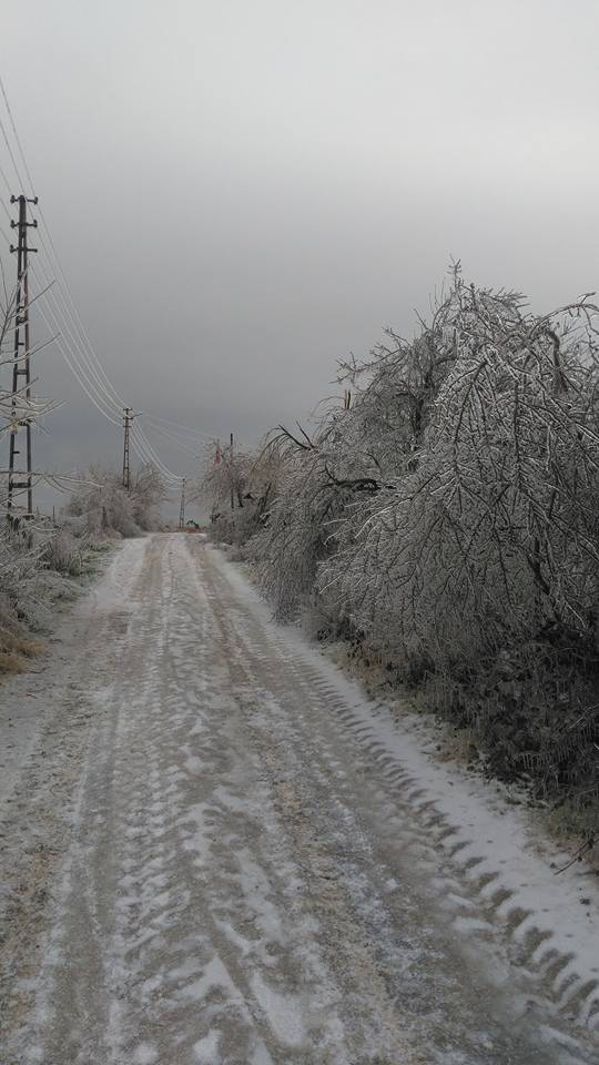 Keşan Karahisar Köyü Resimleri 16