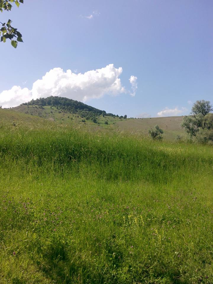 Reşadiye Güzeldere Köyü Resimleri 2