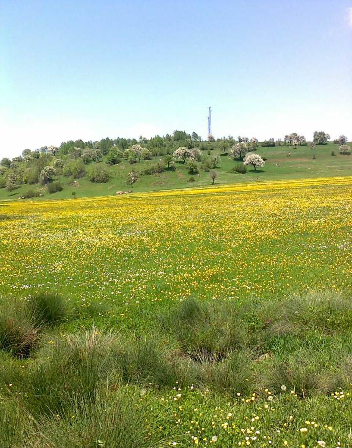 Reşadiye Güzeldere Köyü Resimleri 8