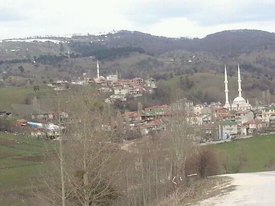 Reşadiye Hebüllü Köyü Resimleri 2