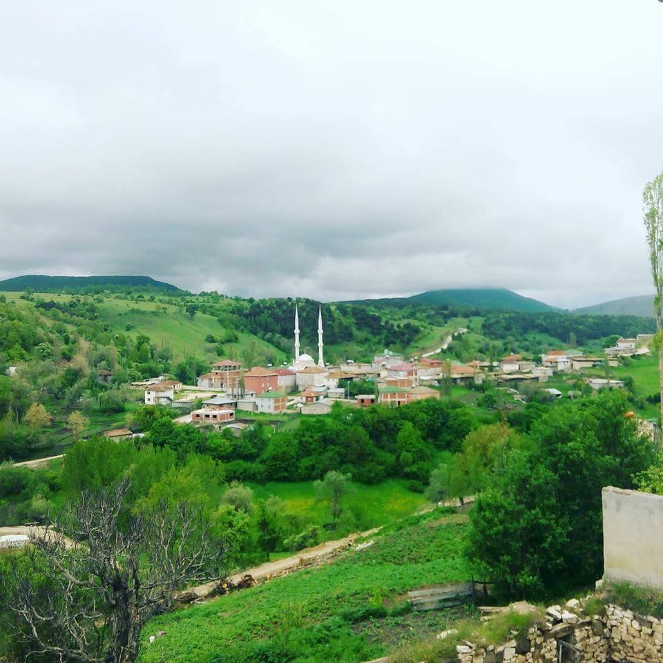 Reşadiye Hebüllü Köyü Resimleri 4
