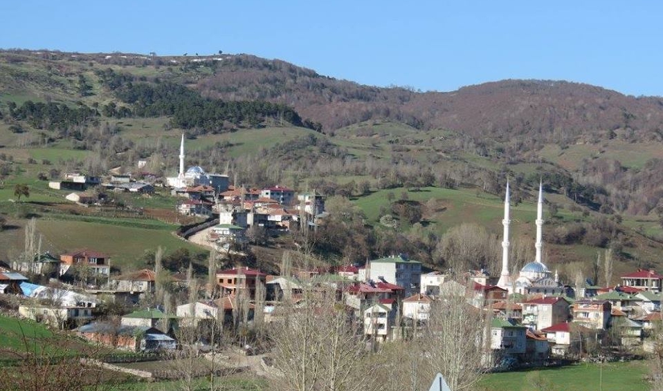 Reşadiye Hebüllü Köyü Resimleri 5