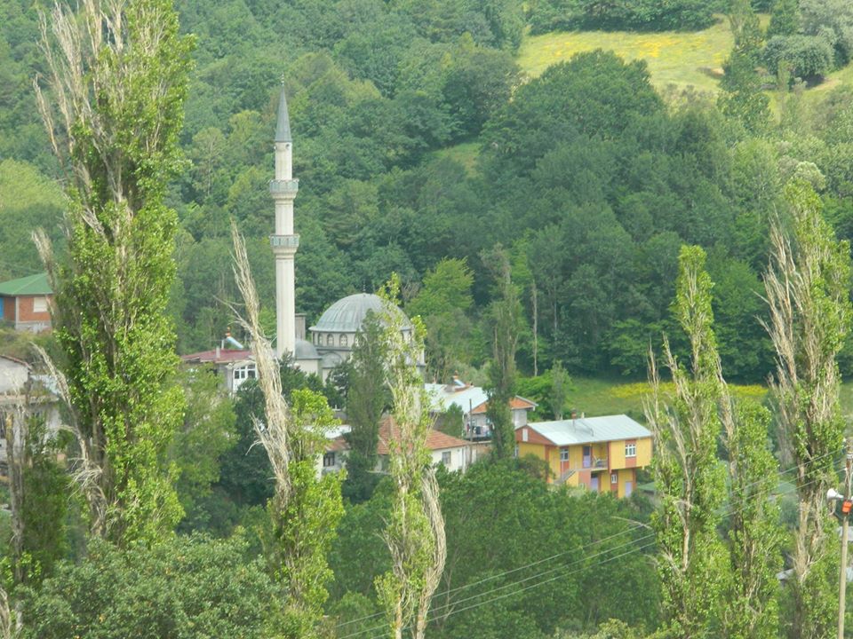 Reşadiye Işıklar Köyü Resimleri 10