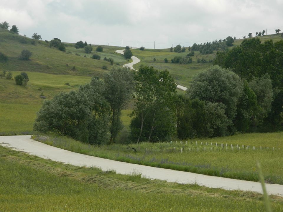 Reşadiye Işıklar Köyü Resimleri 3