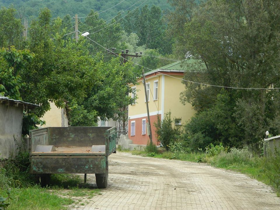Reşadiye Işıklar Köyü Resimleri 9
