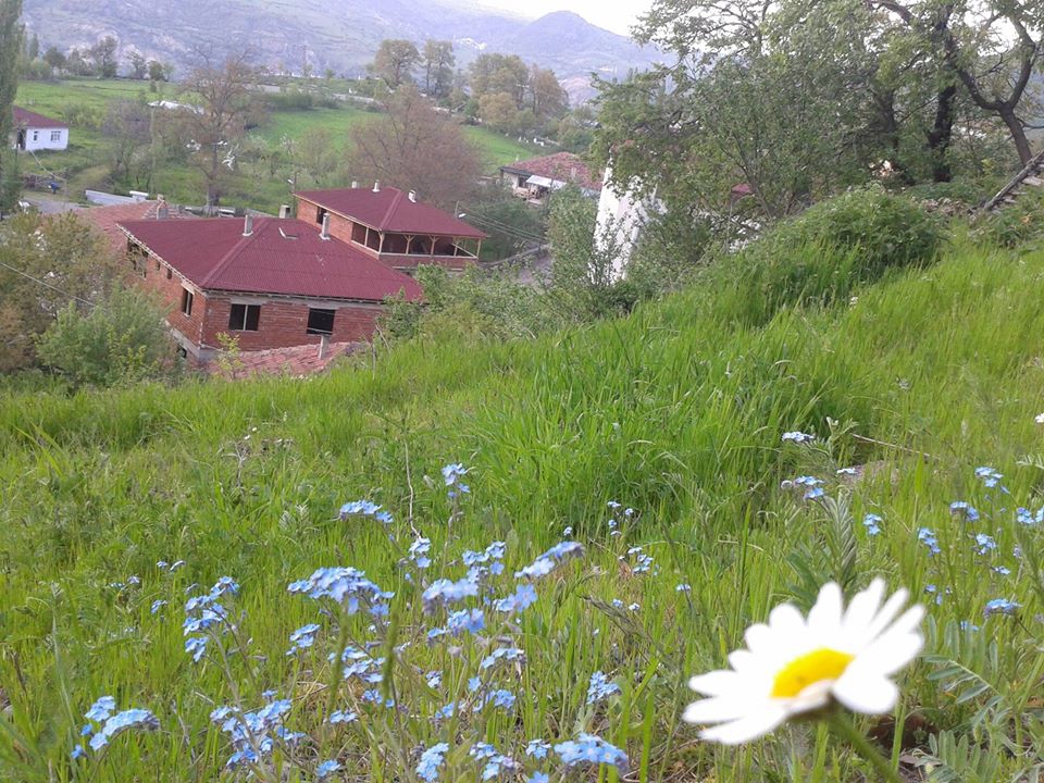 Reşadiye İslamlı Köyü Resimleri 11