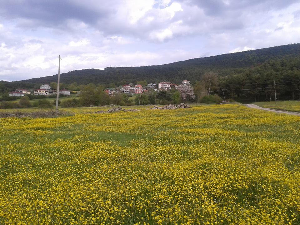 Reşadiye İslamlı Köyü Resimleri 12