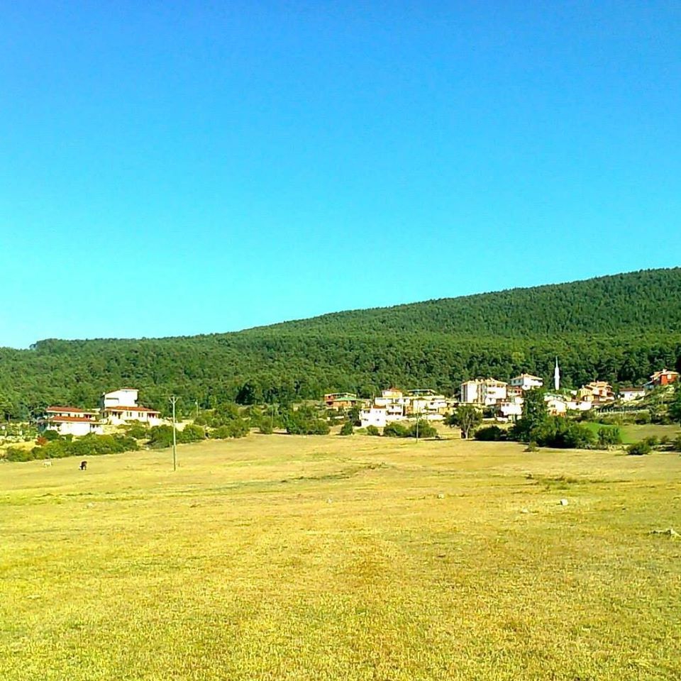 Reşadiye İslamlı Köyü Resimleri 8