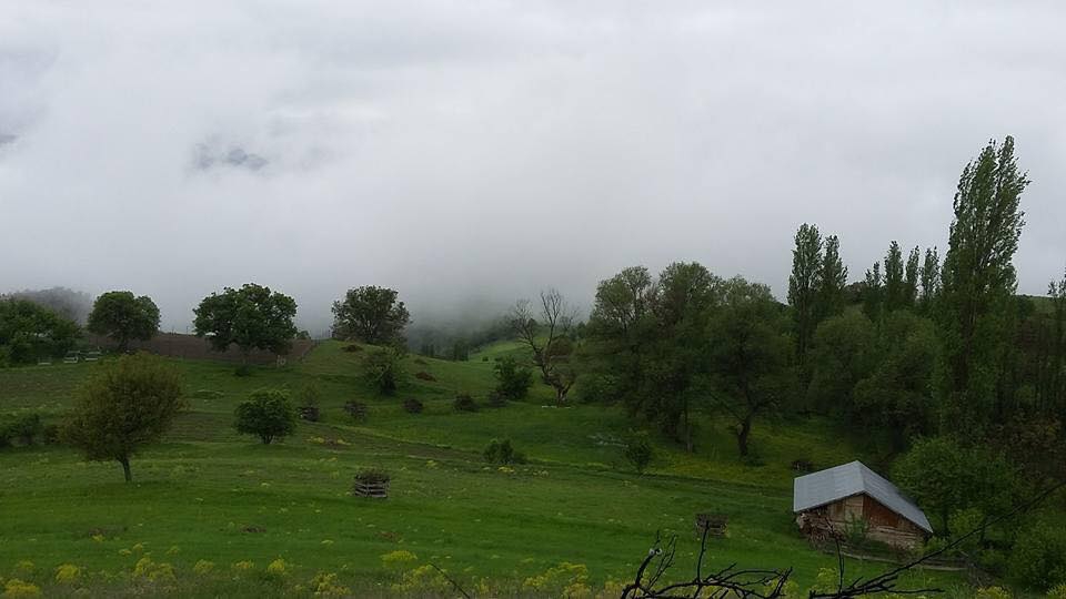 Reşadiye Kabalı Köyü Resimleri 5