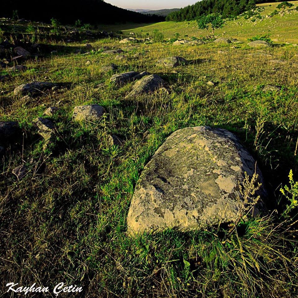 Reşadiye Kabalı Köyü Resimleri 6