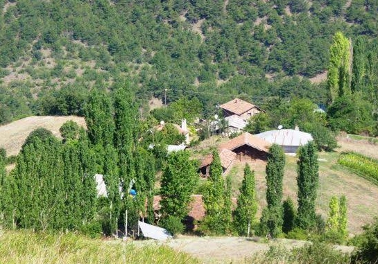 Reşadiye Karacaağaç Köyü Resimleri 3