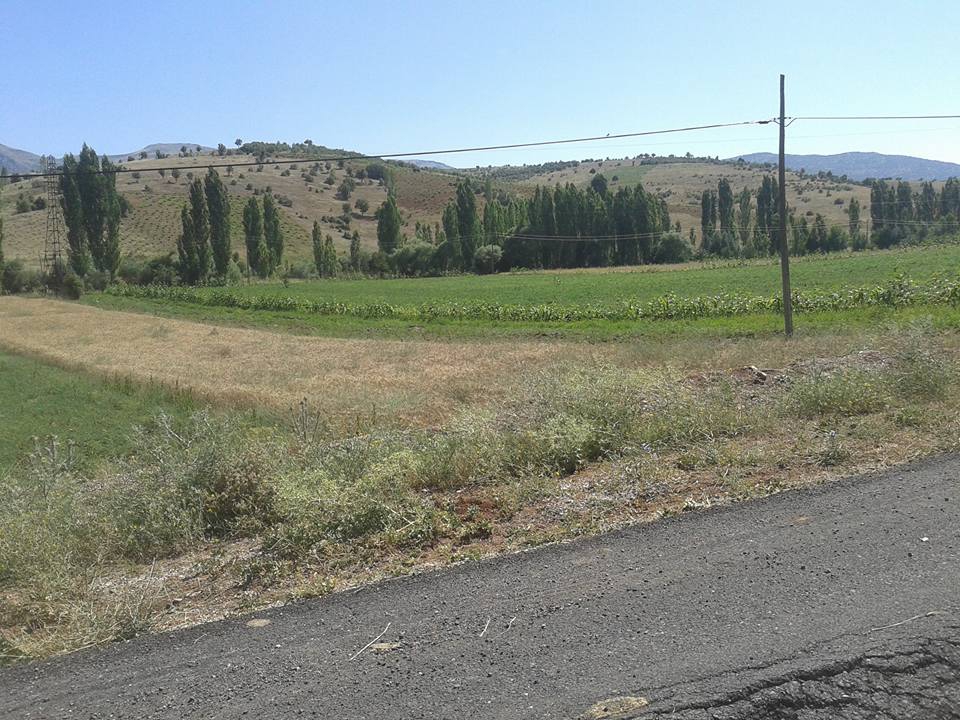 Güneysınır Kayaağzı Köyü Resimleri 9