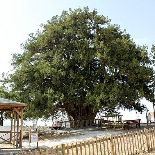 Güneysınır Mevlana Köyü Resimleri 1