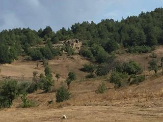 Mesudiye Konacık Köyü Resimleri 2