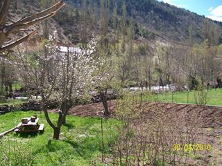 Mesudiye Türkköyü Köyü Resimleri 2