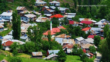 Mesudiye Yeveli Köyü Resimleri 5