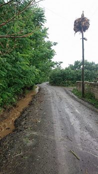 Keşan Kozköy Resimleri 9