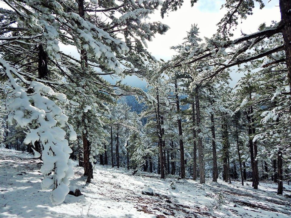 Hadim Bolat Köyü Resimleri 6
