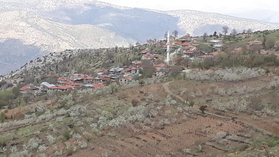 Hadim Küplüce Köyü Resimleri 4