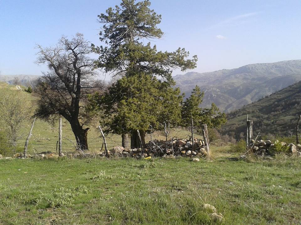 Hadim Küplüce Köyü Resimleri 8